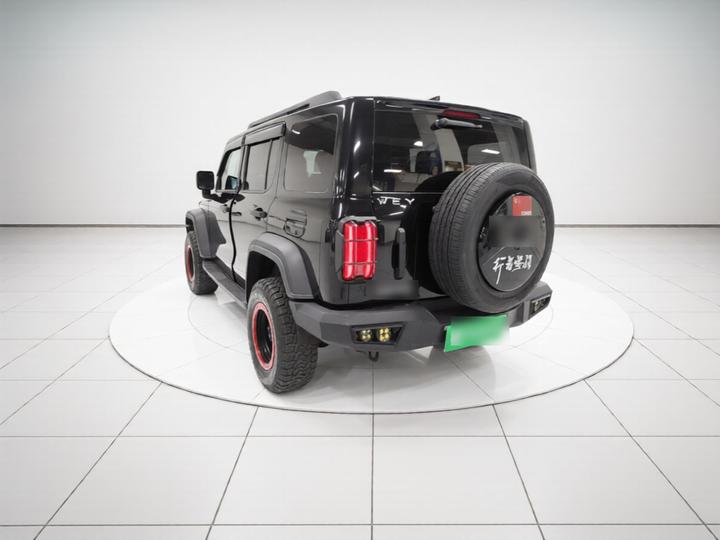 300 2021 Off-road 2.0T Conqueror photo 4