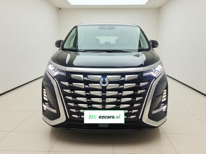 D9 2022 DM-i 970 AWD Noble photo 2