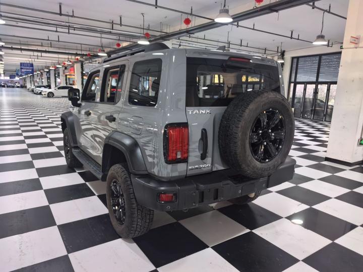 300 2021 Off-road 2.0T Conqueror photo 8