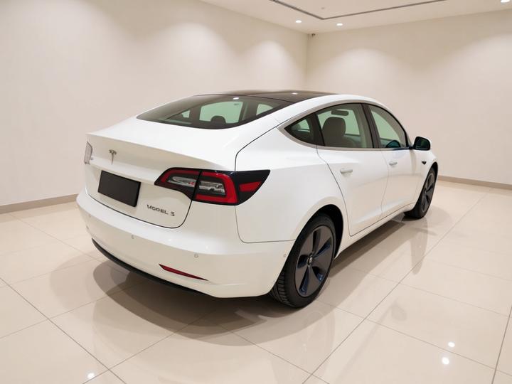 Model 3 2020 Standard Range RWD Upgraded photo 6