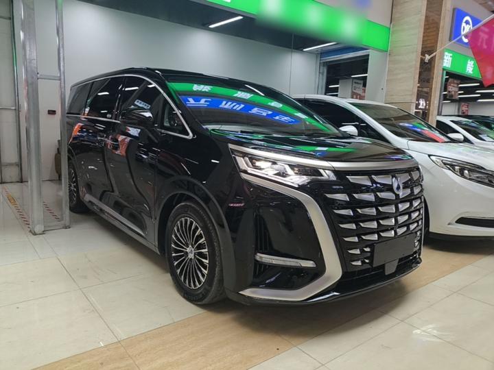 D9 2024 DM-i 980 AWD Premium photo 3