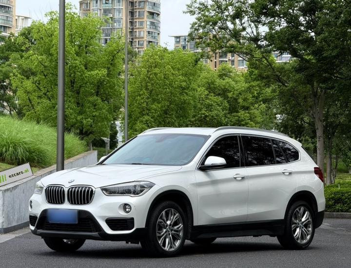 X1 2018 sDrive20Li Leading