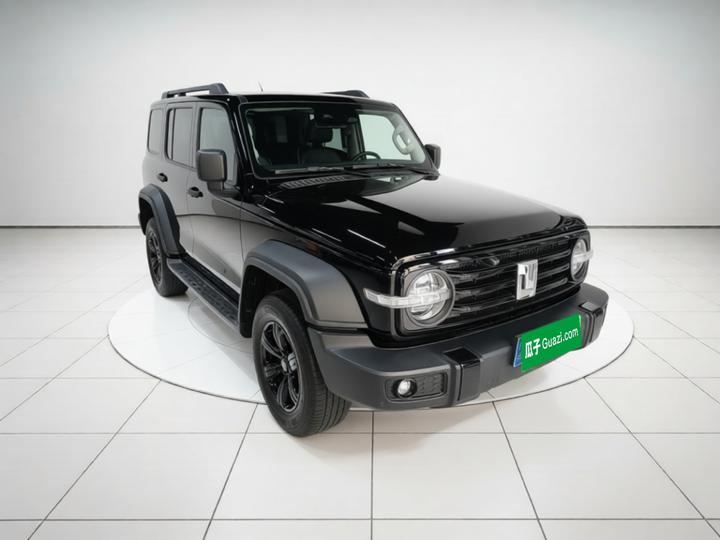 300 2024 2.0T Conqueror photo 3