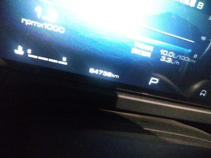 300 2021 Off-road 2.0T Conqueror photo 2