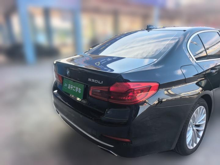 5 Series 2020 525Li Luxury photo 6
