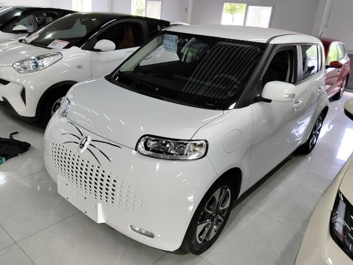 2022 Upgraded 305km Luxury NCM