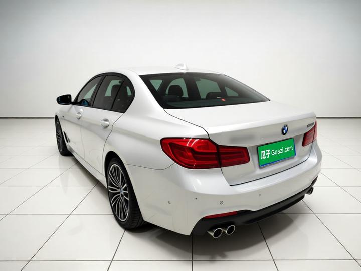 5 Series 2019 530Li Exclusive M Sport Package photo 4