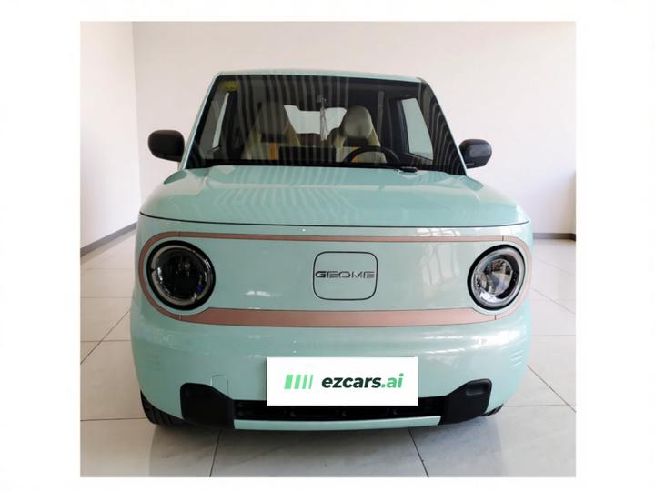 2024 Panda mini 200km Endurance Bear photo 2
