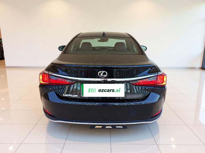 ES 2022 300h Excellence photo 5