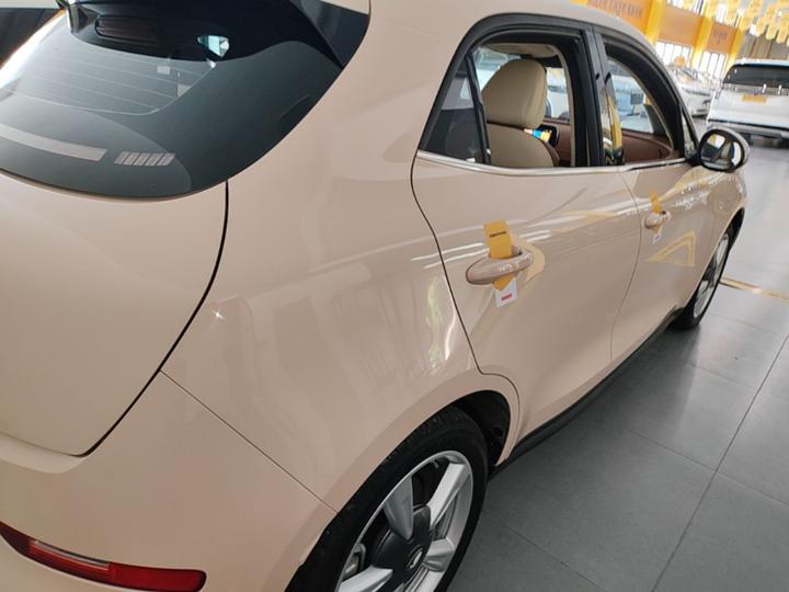 Good Cat 2023 401km Standard Range Premium LFP photo 4