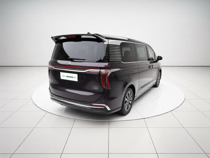 HQ9 PHEV 2024 2.0T AWD Business photo 6
