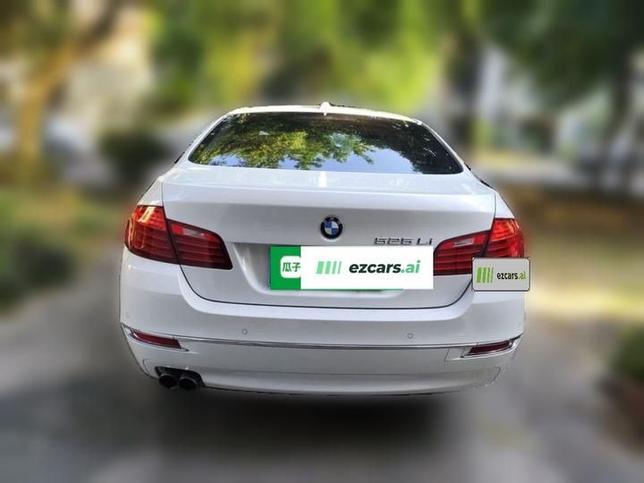 5 Series 2014 525Li Luxury Design Package photo 3