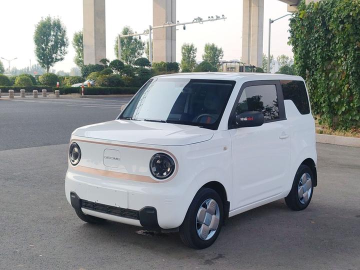 2023 Panda mini 200km Endurance Bear