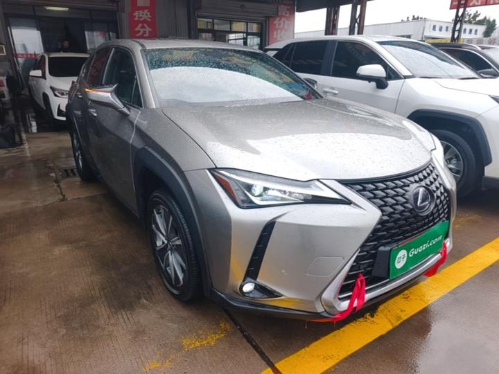 UX EV 2020 300e photo 3