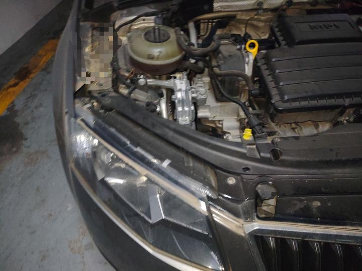 Octavia 2015 1.6L MT photo 7