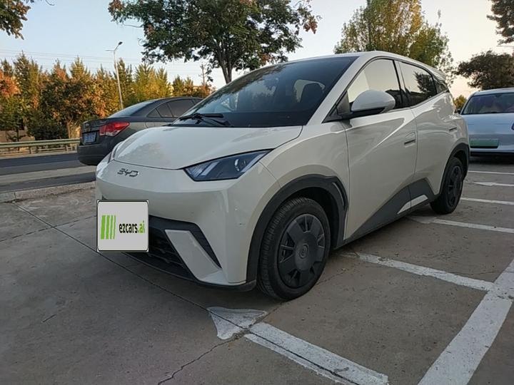 Seagull 2025 305km