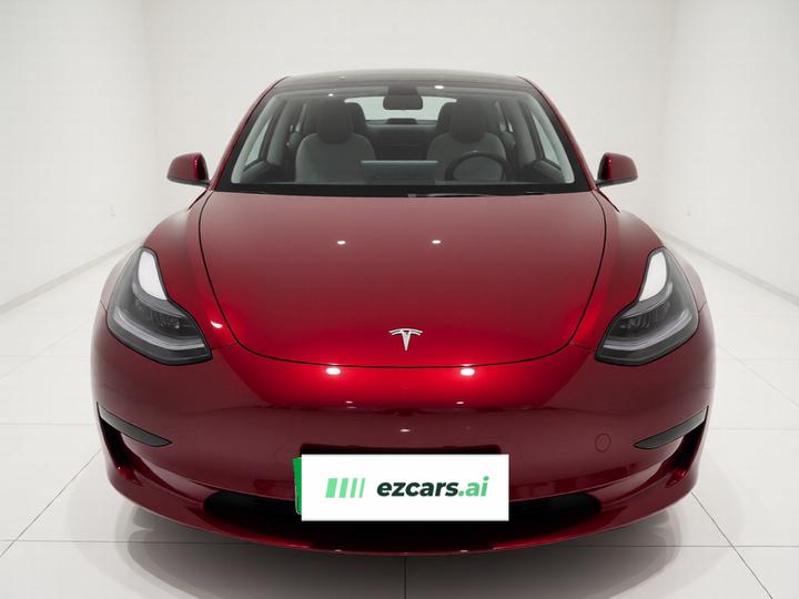 Model 3 2022 RWD photo 2