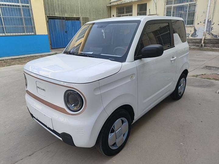 2024 Panda mini 200km Endurance Bear