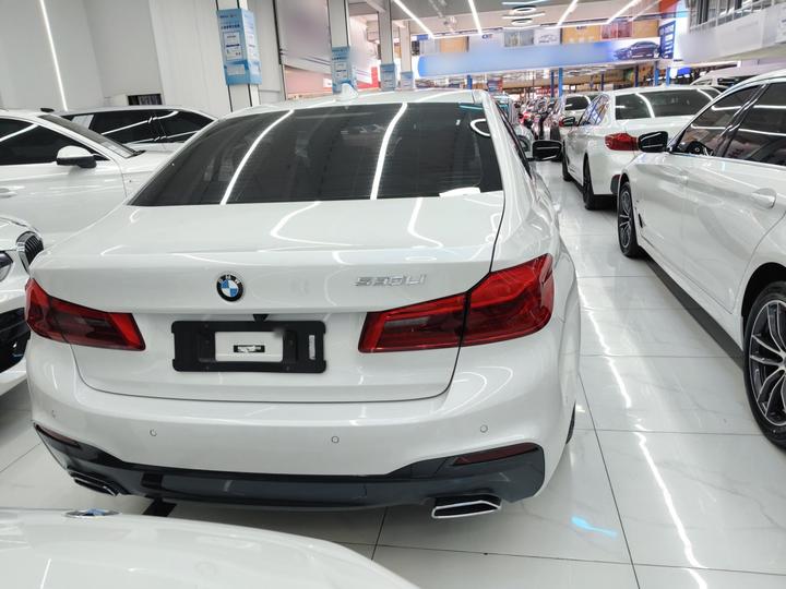 5 Series 2020 530Li Leading M Sport Package photo 3