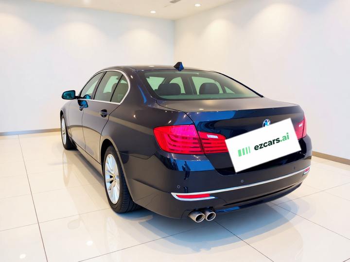 5 Series 2014 525Li Luxury Design Package photo 4