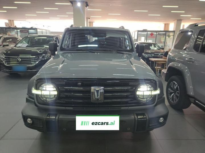 300 2023 Off-road 2.0T Conqueror photo 2