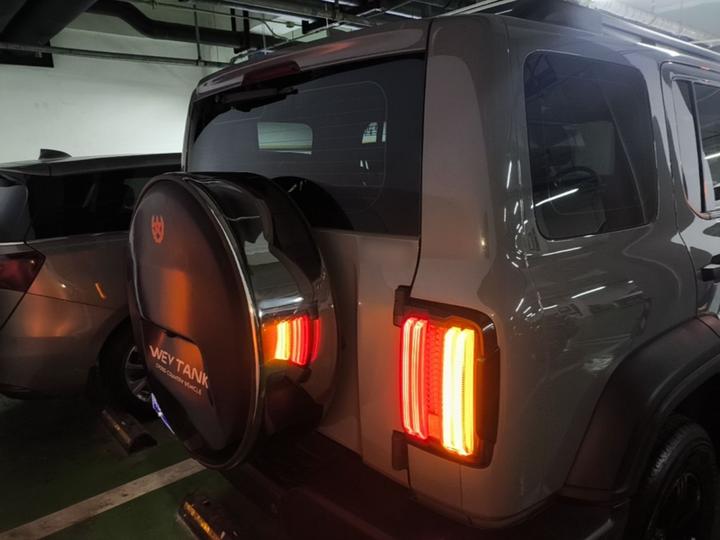 300 2021 Off-road 2.0T photo 5