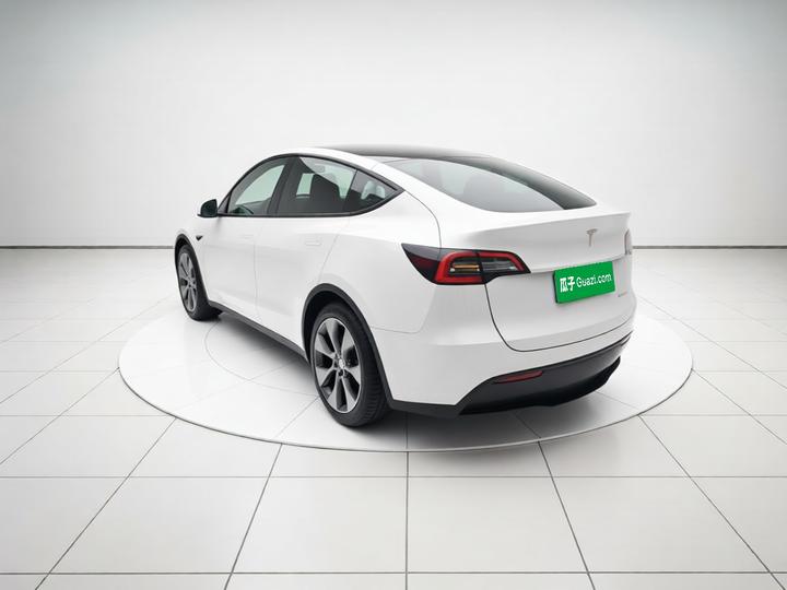 Model Y 2021 Standard Range RWD photo 4