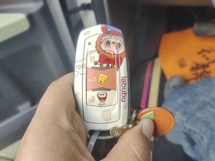 2023 Panda mini 200km photo 8