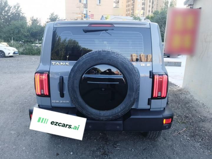 300 2021 Off-road 2.0T Conqueror photo 5