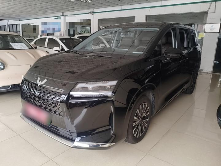 730 EV 2025 125km Luxury