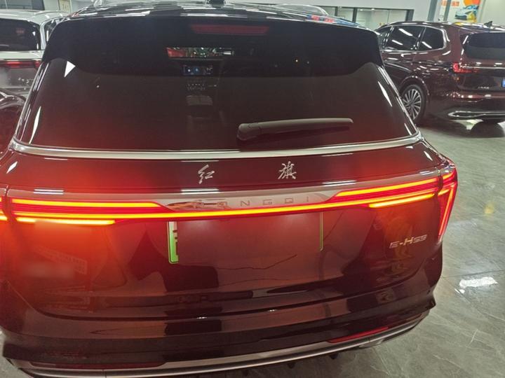 E-HS9 2021 460km 6-Seater photo 3