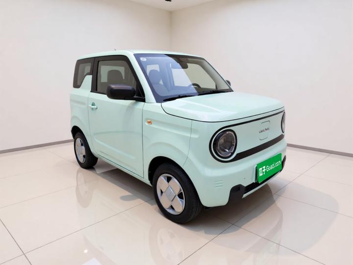 2024 Panda mini 200km Endurance Bear photo 3
