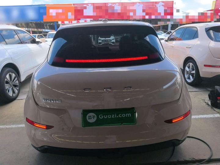 Good Cat 2021 400km Standard Range LFP photo 3