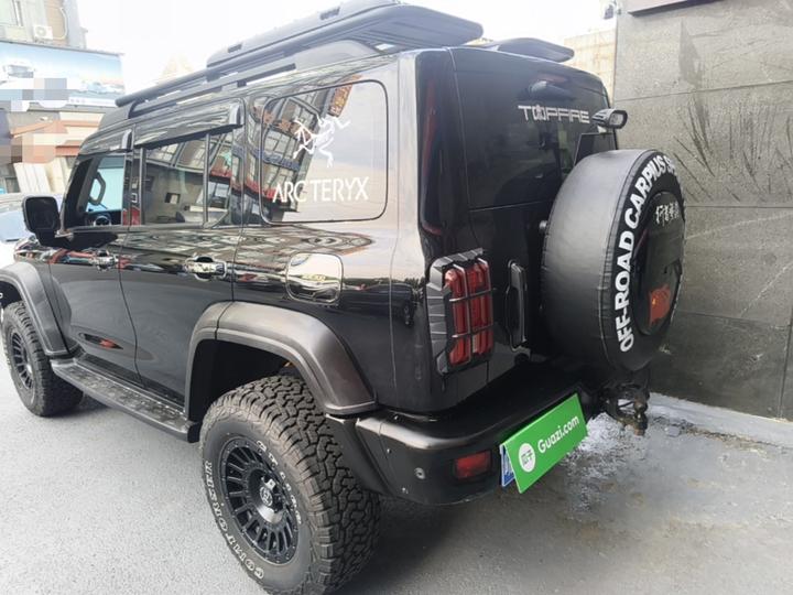 300 2021 Off-road 2.0T Conqueror photo 4