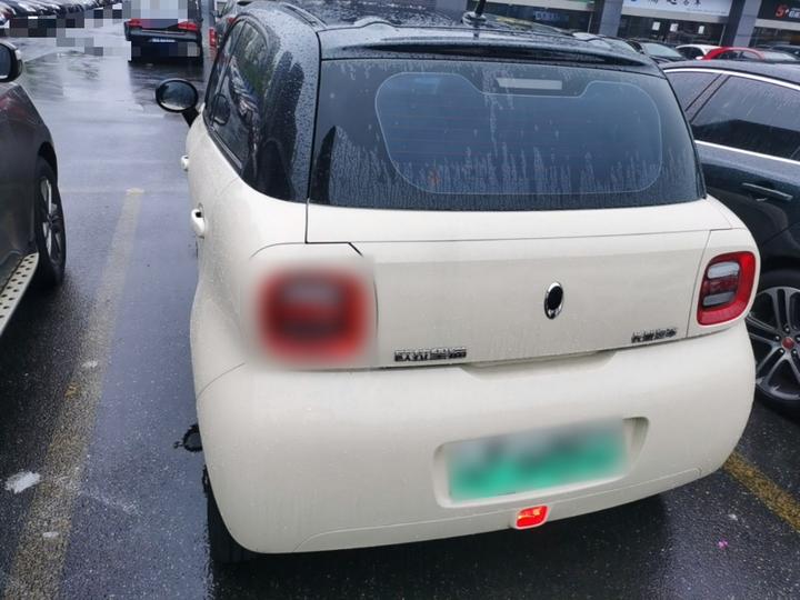 2021 301km photo 3