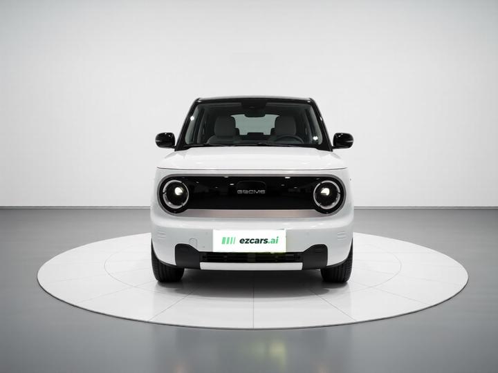2023 Panda mini 200km Endurance Bear photo 2
