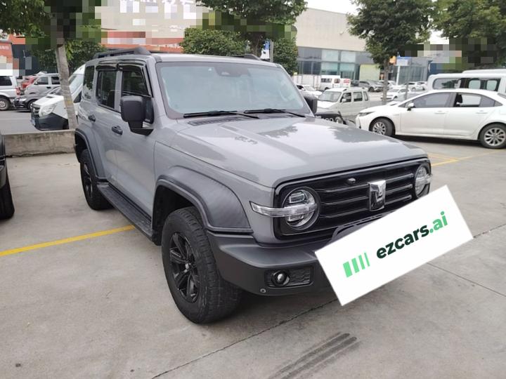 300 2021 Off-road 2.0T Conqueror photo 3