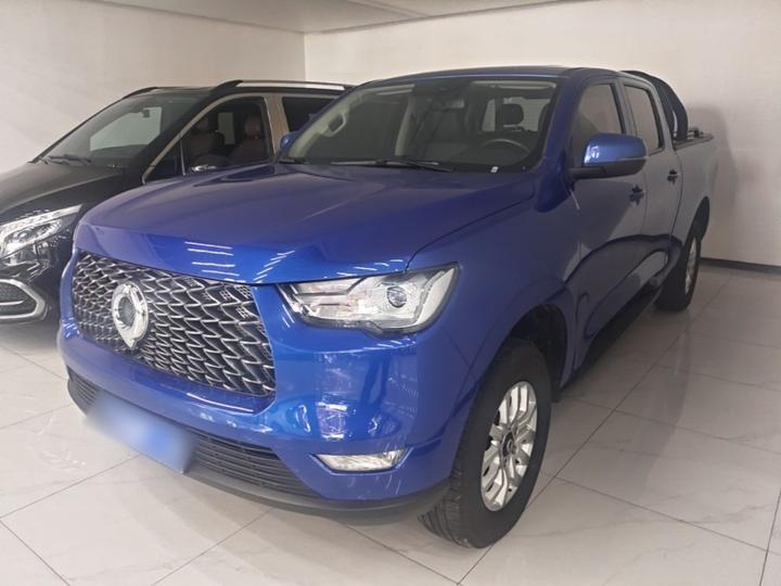 2019 2.0T MT Petrol RWD Pilot GW4C20B