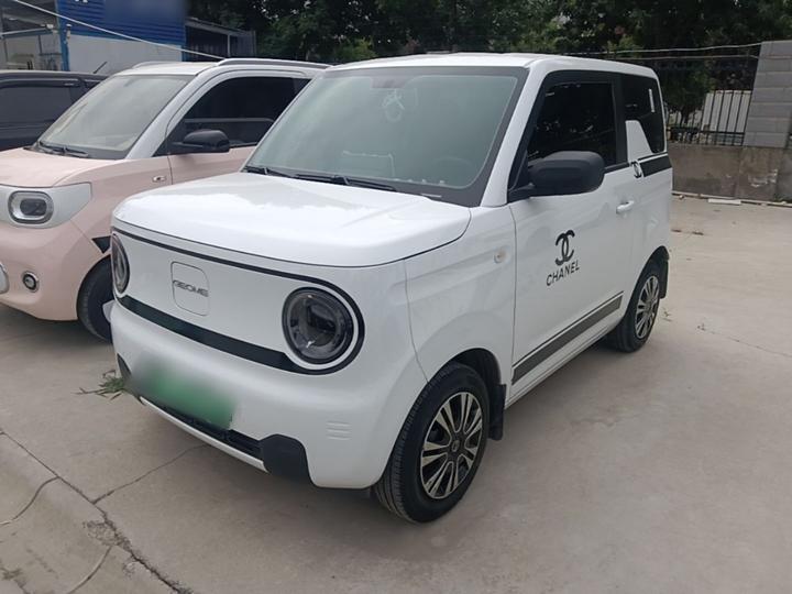 2024 Panda mini 200km Endurance Bear