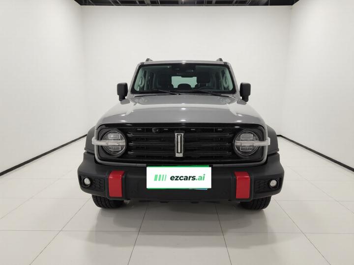 300 2021 Off-road 2.0T Conqueror photo 2