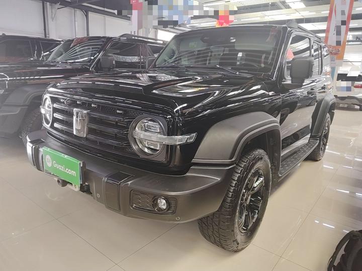 300 2021 Off-road 2.0T Conqueror