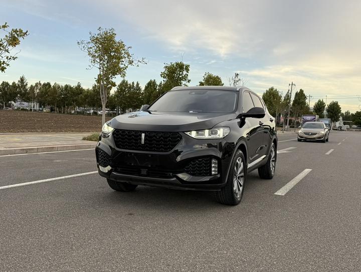 VV6 2018 2.0T RWD Flagship China V