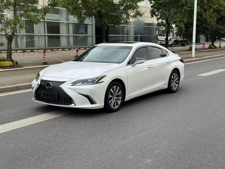 ES 2018 300h Excellence China VI