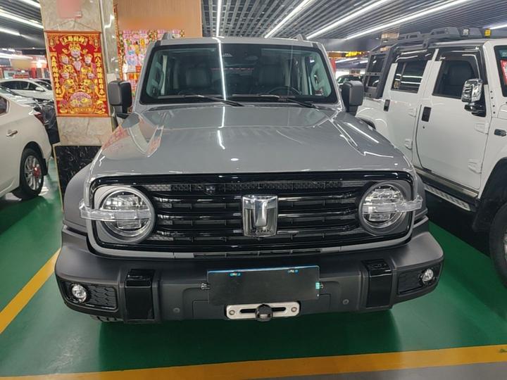 300 2021 Off-road 2.0T Conqueror photo 2