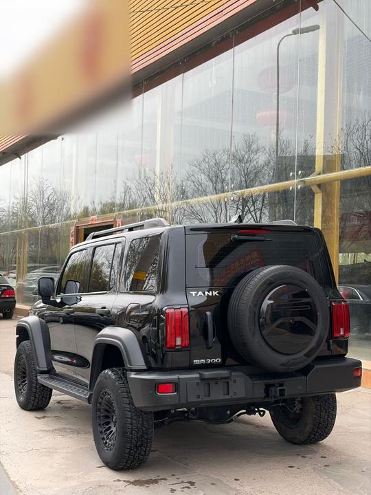 300 2023 Off-road 2.0T Conqueror photo 3
