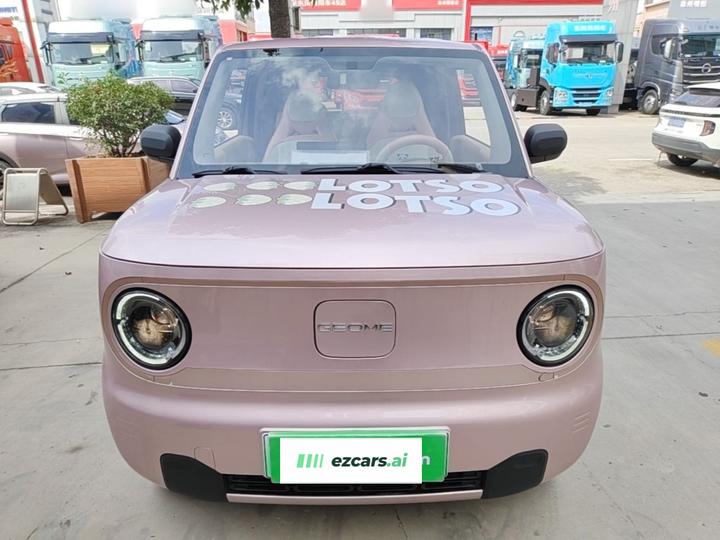 2024 Panda mini 200km Endurance Bear photo 2