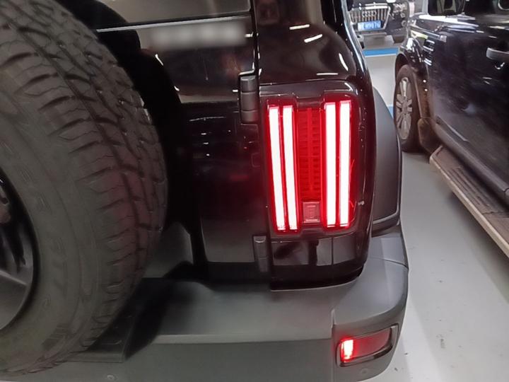300 2021 Off-road 2.0T photo 7