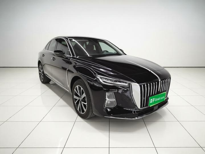 H5 PHEV 2025 130 photo 3
