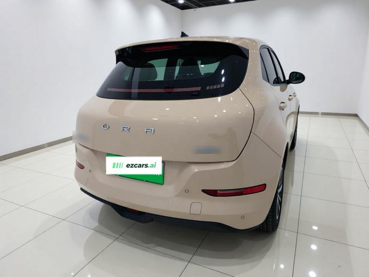 Good Cat 2023 401km Standard Range Premium LFP photo 5