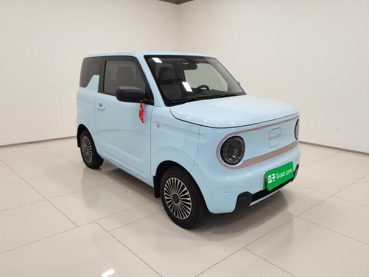 2024 Panda mini 200km Endurance Bear photo 3